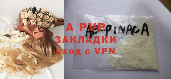 индика Михайловск