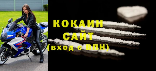 шишки Михайлов