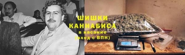 шишки Михайлов