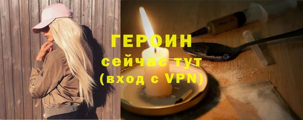 индика Михайловск