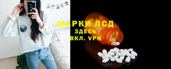индика Михайловск