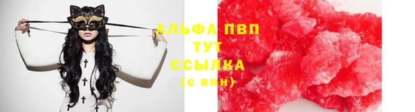индика Михайловск