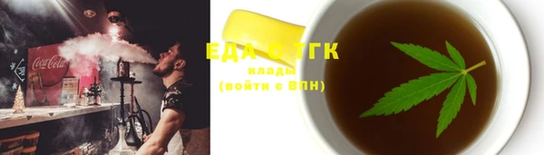 индика Михайловск