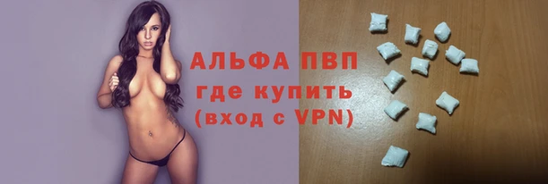 индика Михайловск