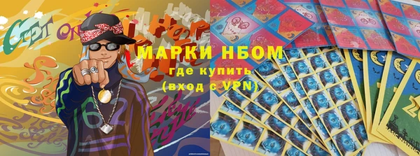 индика Михайловск