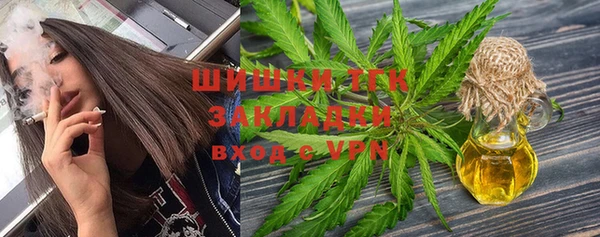 шишки Михайлов