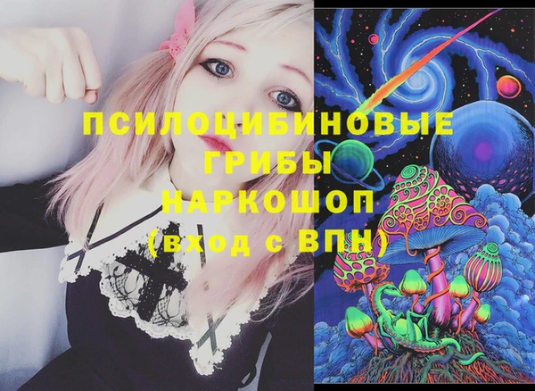 индика Михайловск