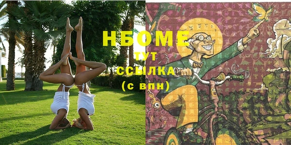 индика Михайловск