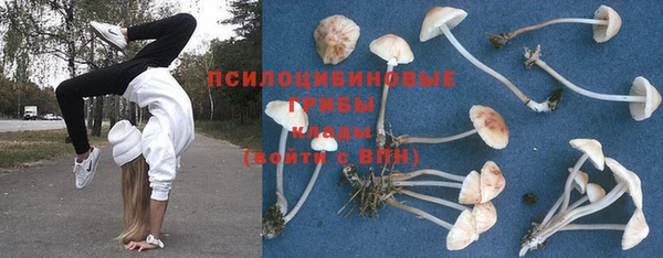 индика Михайловск