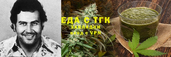 индика Михайловск