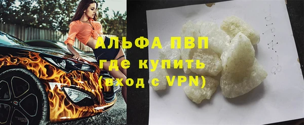 индика Михайловск