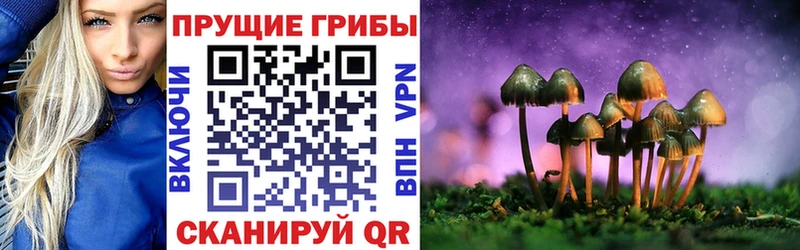 цены наркотик  Новомосковск  Галлюциногенные грибы прущие грибы 