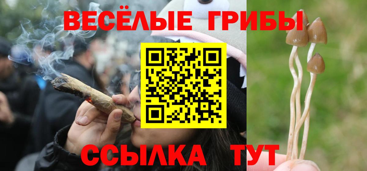 Псилоцибиновые грибы MAGIC MUSHROOMS Новомосковск