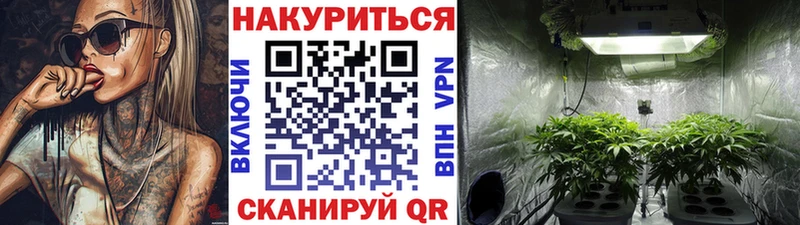 как найти закладки  Новомосковск  Каннабис AK-47 